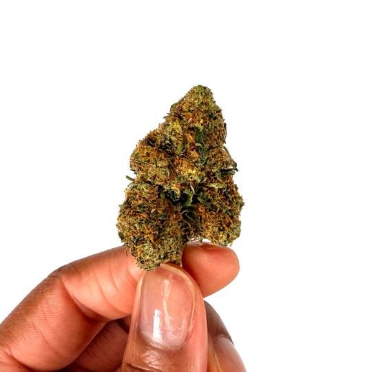 Fleur CBD Orange Bud Glasshouse – têtes compactes et cristallisées