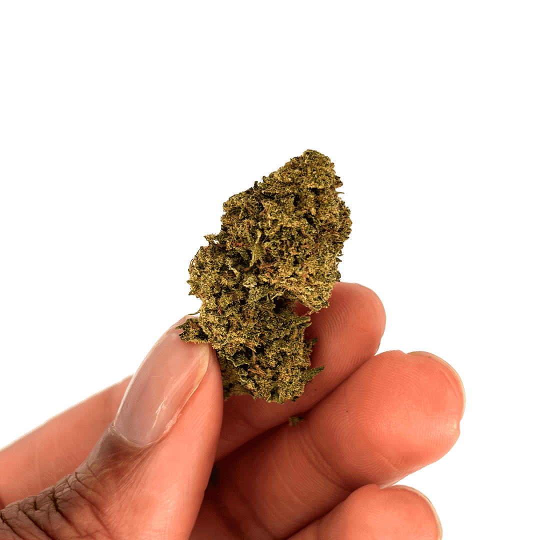 Fleur CBD Zkittlez Natural Light – bourgeons compacts et colorés