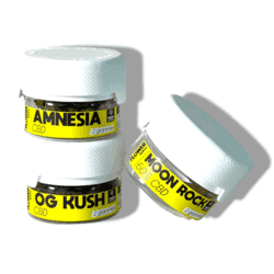 CBD Flowers Discovery Pack