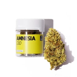 Amnesia CBD puissante pas cher