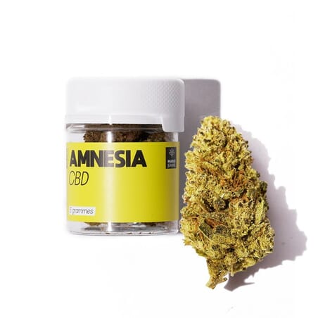 Amnesia CBD puissante pas cher