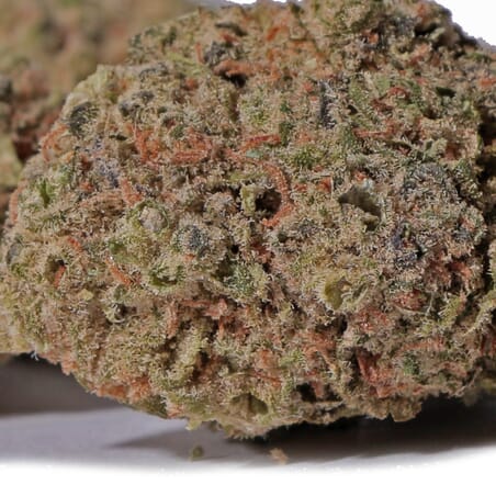 Alien Haze - Indoor CBD Flower
