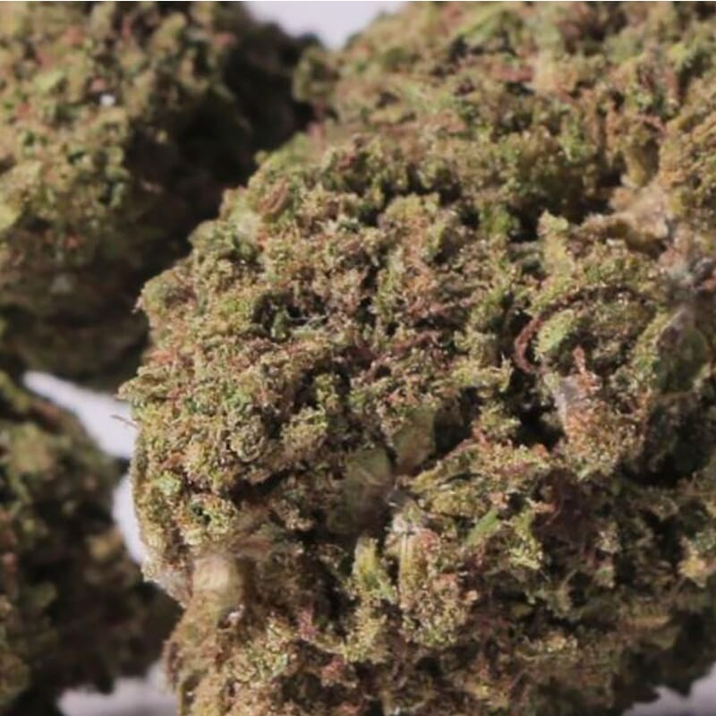California haze CBD effet puissant California haze CBD effet puissant