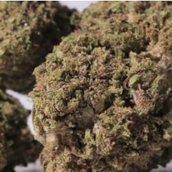 California Haze - Greenhouse CBD Flower