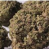 Greenhouse CBD Flowers