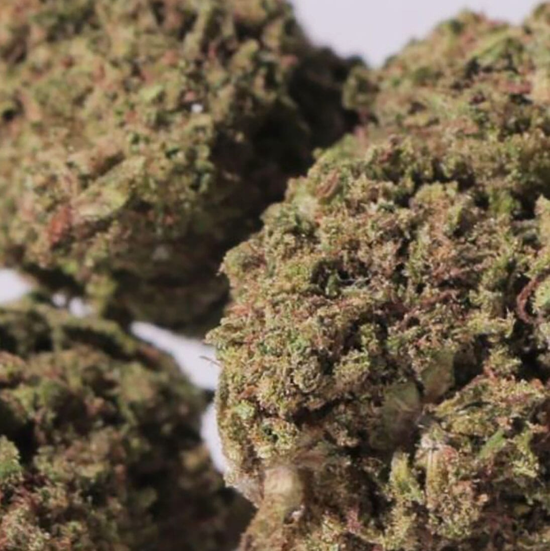 California - Fleur H4CBD