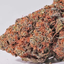 Blueberry - CBD Flower