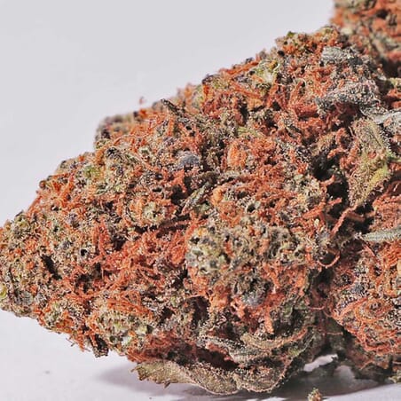 Blueberry - CBD Flower