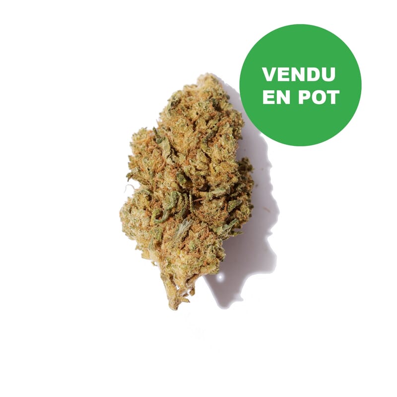 Pack CBD Fleurs 100% Français Pack CBD Fleurs 100% Français