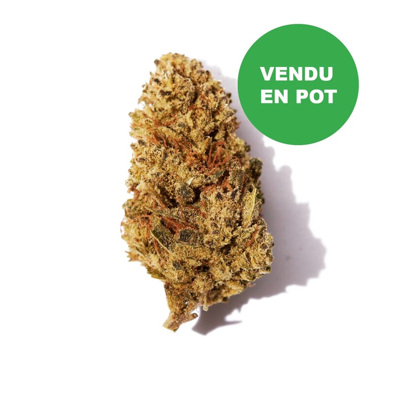 Fleurs CBD Amnesia OG Kush Moon Rock Fleurs CBD Amnesia OG Kush Moon Rock