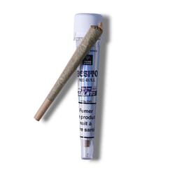 Pre roll CBD Gelato