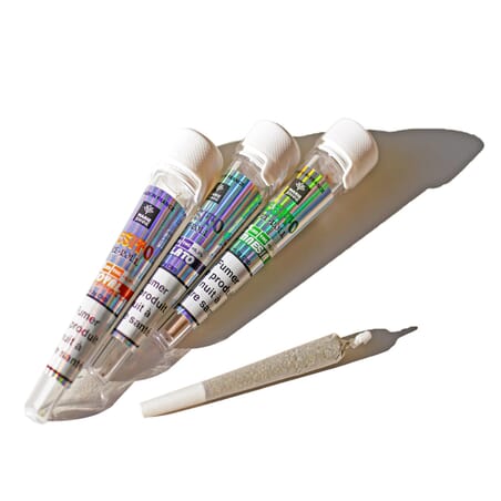 Pre-rolls CBD Discovery Pack