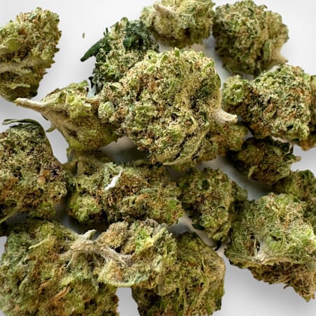 Gelato Small Bud - CBD Flower