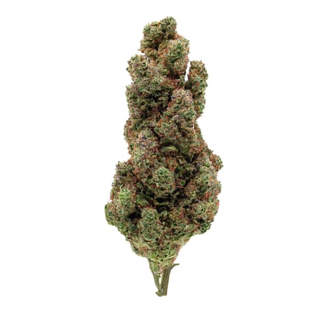 Sour Diesel - CBD Flower