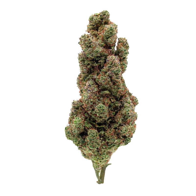 Sour Diesel Cbd premium Sour Diesel Cbd premium