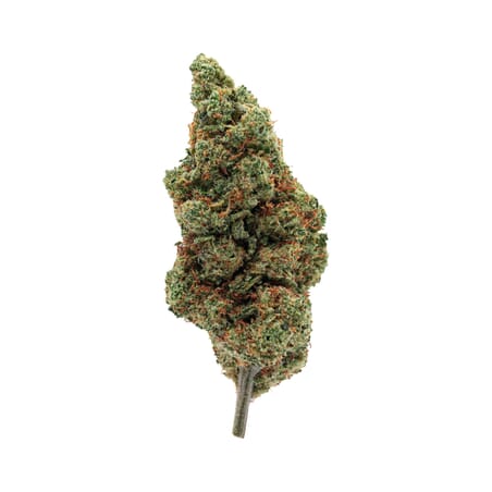 Amnesia Haze - CBD Flower