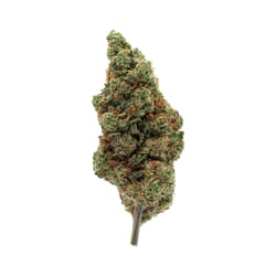 Amnesia fleur de CBD pas chere