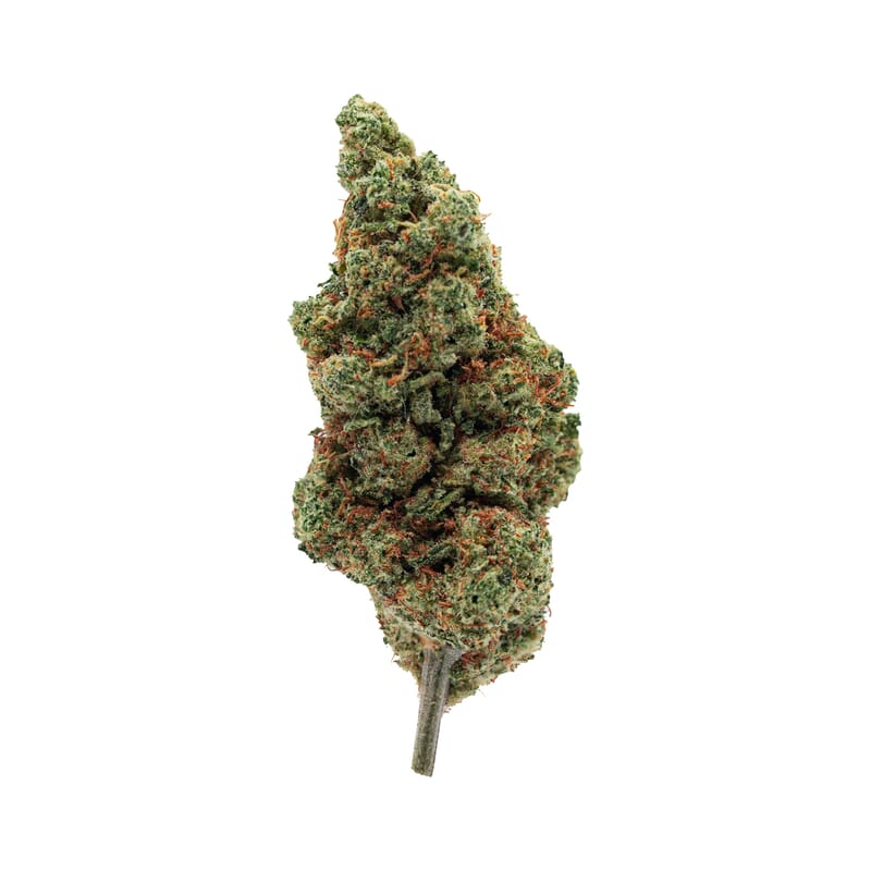 Amnesia fleur de CBD pas chere Amnesia fleur de CBD pas chere