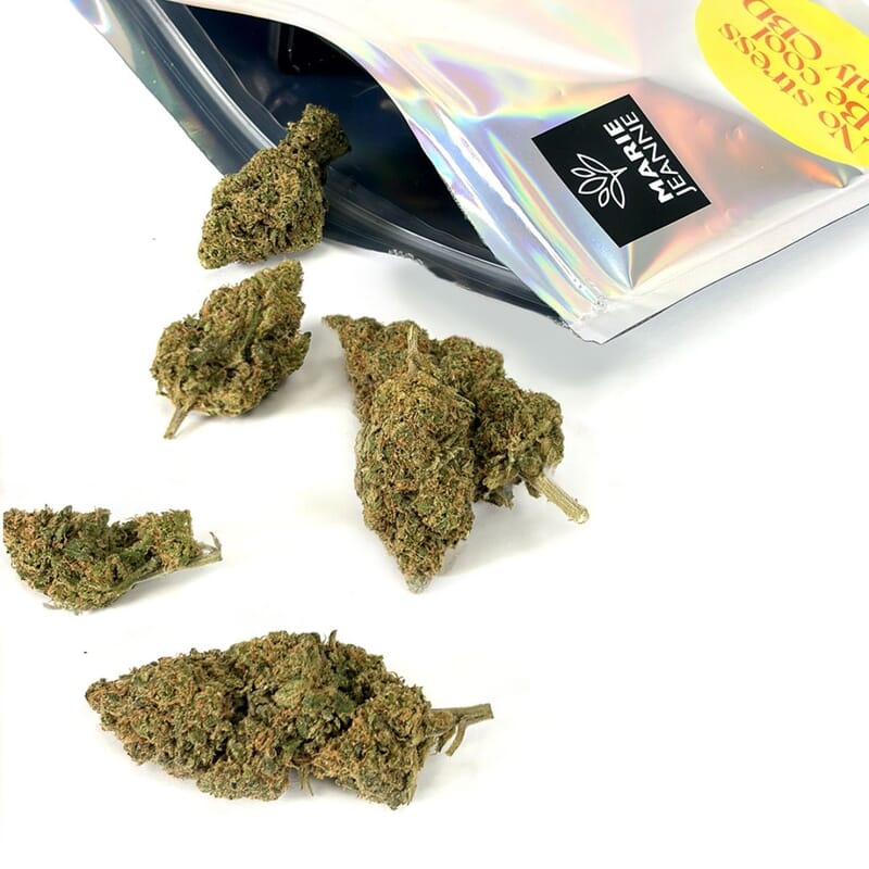 Orange Bud CBD | Citrus-Flavored CBD Flower Indoor Flower Marie Jeanne CBD Orange Bud CBD | Citrus-Flavored CBD Flower Indoor Flower Marie Jeanne CBD