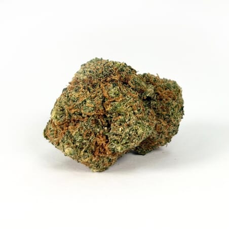 Super Skunk CBD - Fleur Hydroponique puissante - Marie Jeanne CBD Super Skunk CBD - Fleur Hydroponique puissante - Marie Jeanne CBD