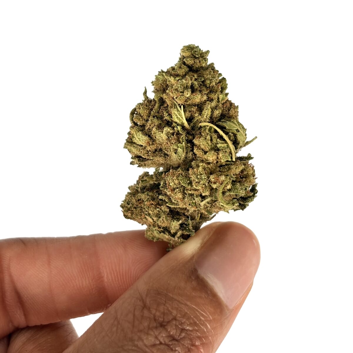 Gelato Small Bud - Fleur CBD