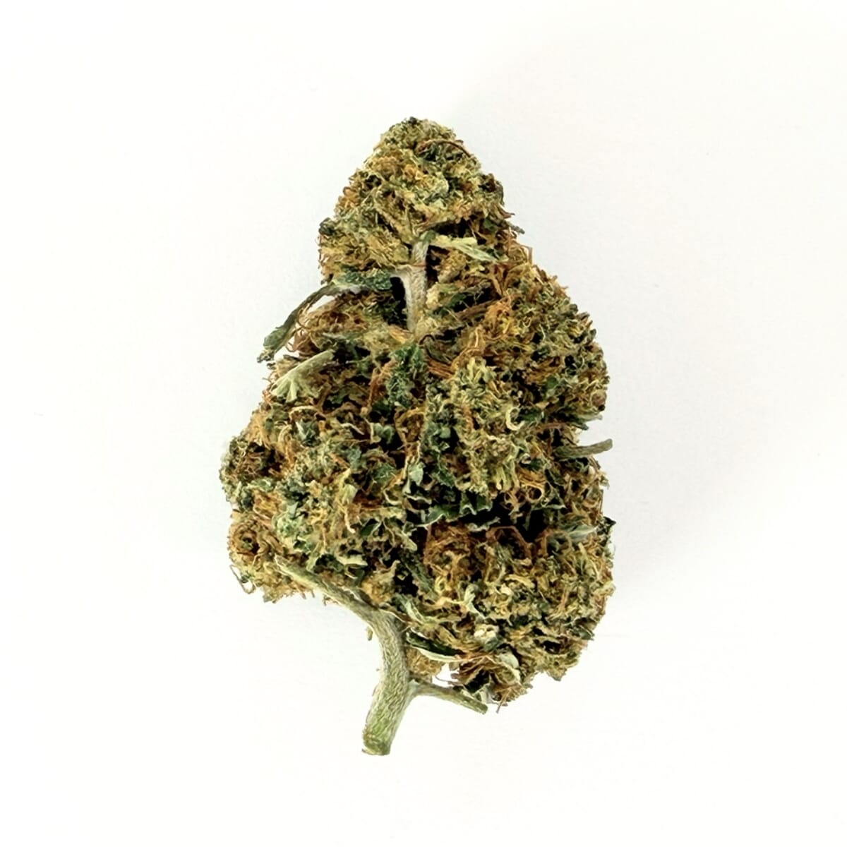 Orange Bud CBD | Citrus-Flavored CBD Flower  Indoor Flower  Marie Jeanne  CBD