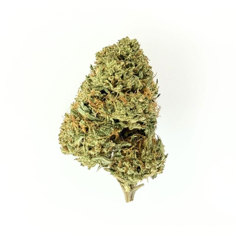 Fleur de CBD Super White Frost Greenhouse